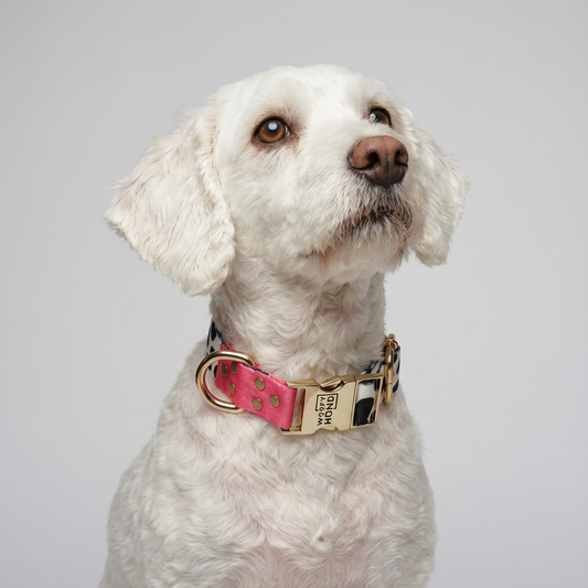 Woofy Halsband CandyMix