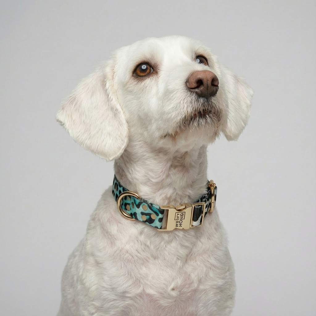 Woofy Halsband Aqua Camo