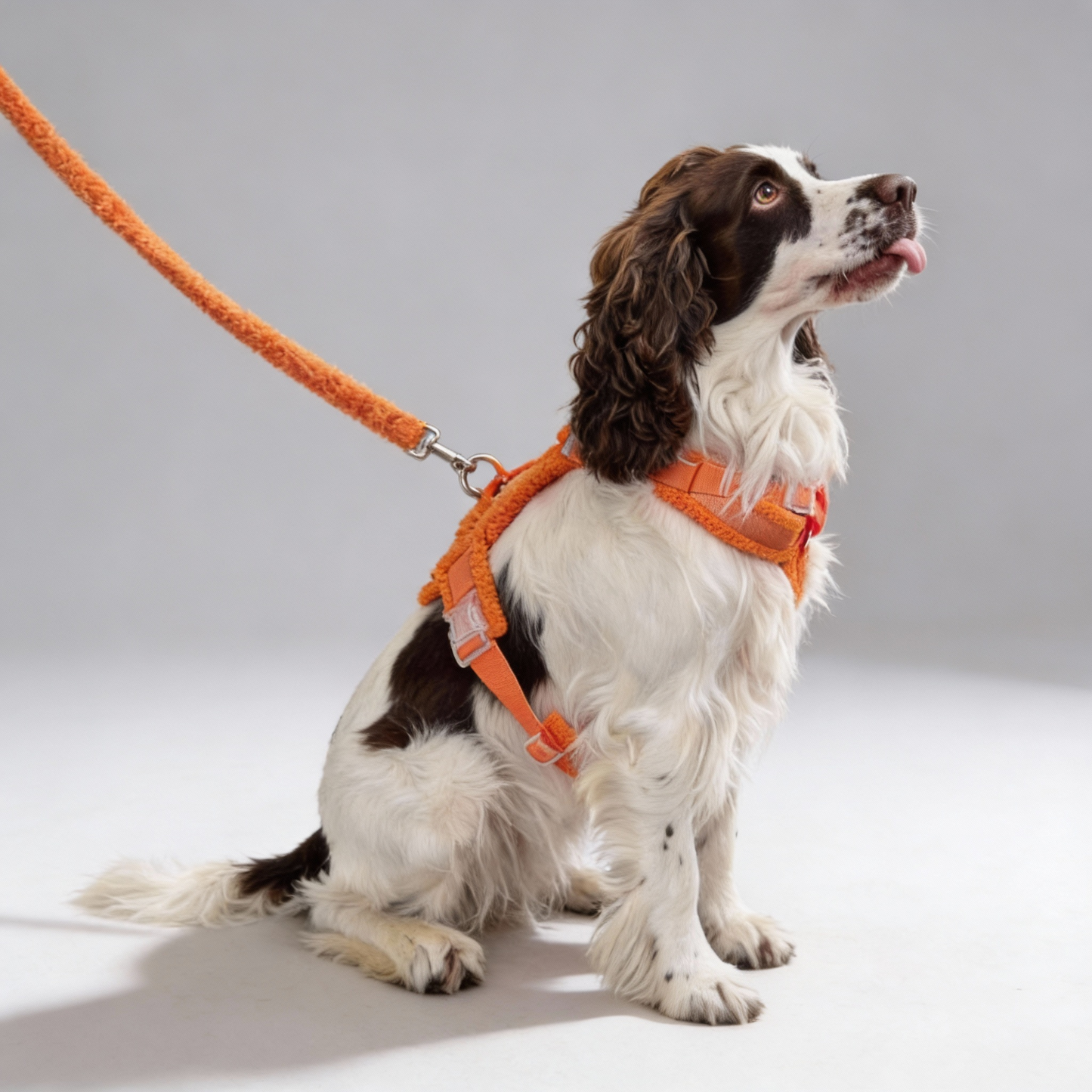 Woofy Hundegeschirr-Set Teddy Orange