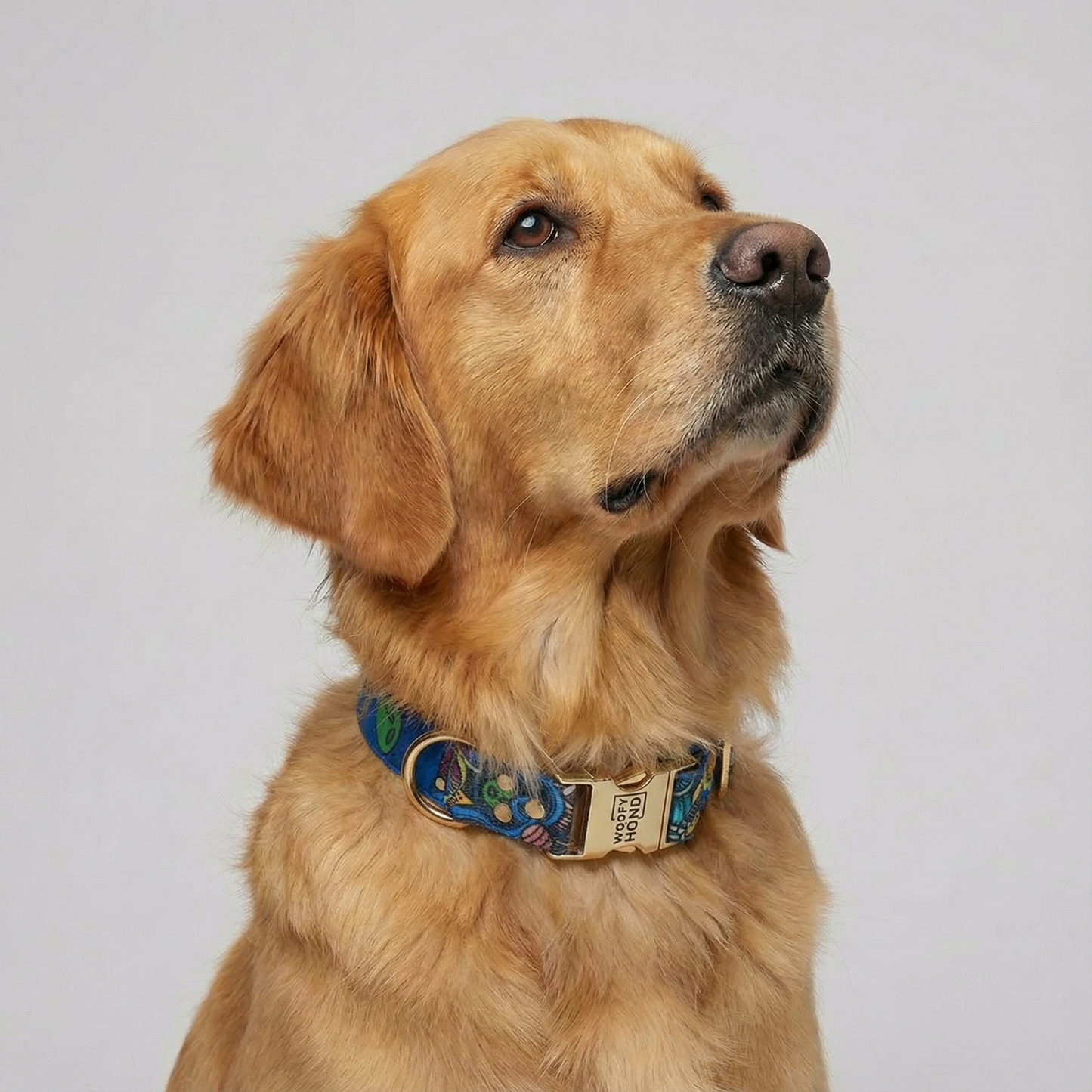 Woofy Halsband Galaxy – Hundehalsband mit hellgoldenen Metallakzenten, Detailansicht