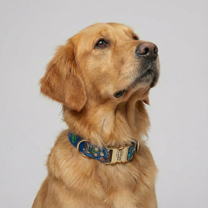 Woofy Halsband Galaxy – Hundehalsband mit hellgoldenen Metallakzenten, Detailansicht
