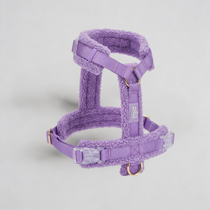 Woofy Hundegeschirr-Set Teddy Violett