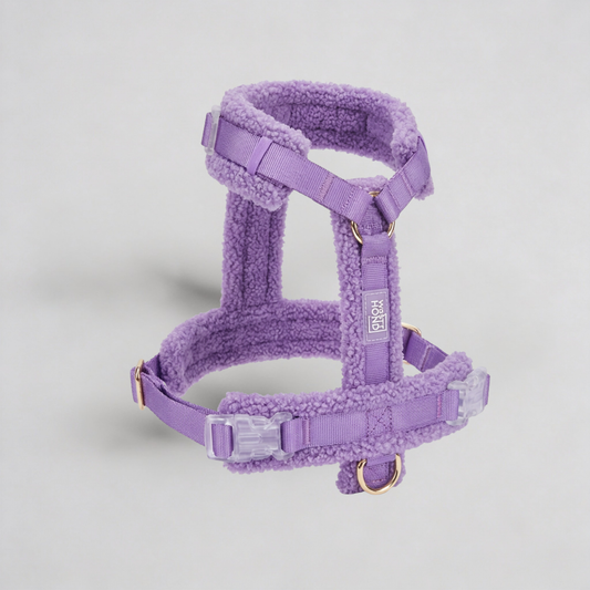 Woofy Hundegeschirr-Set Teddy Violett