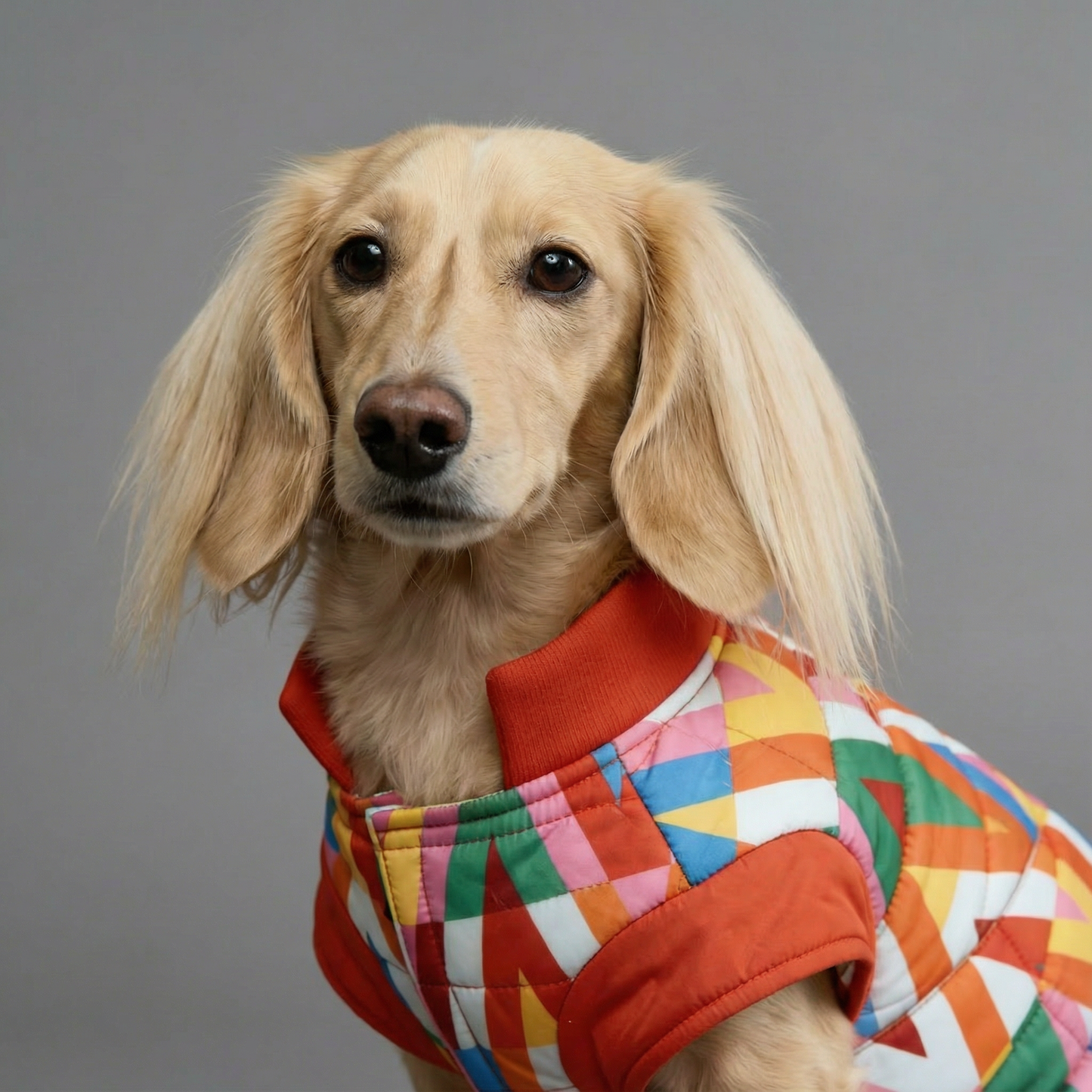 Woofy Color Splash Wasserdichte Pufferjacke