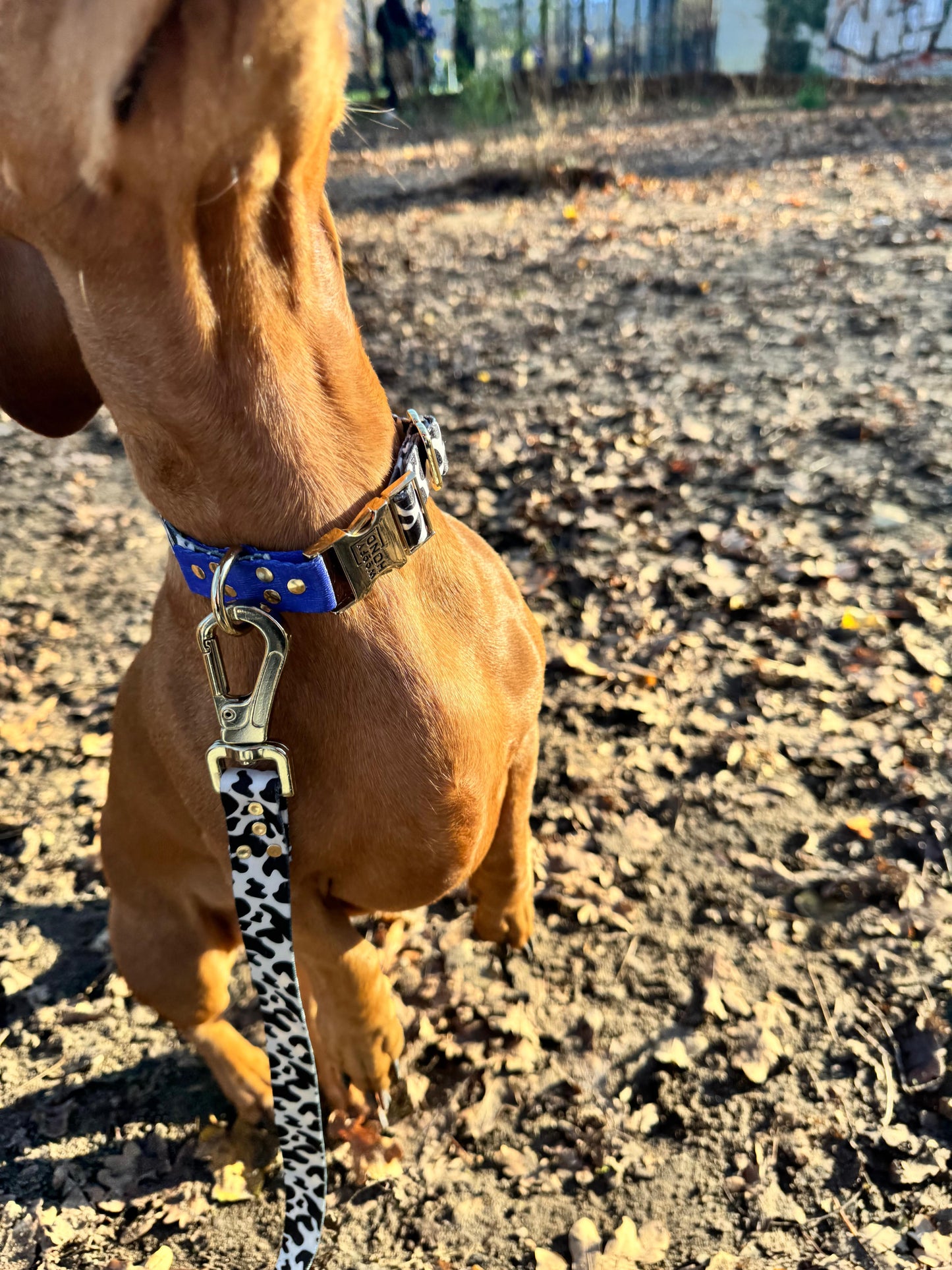 Woofy Halsband Blueberry