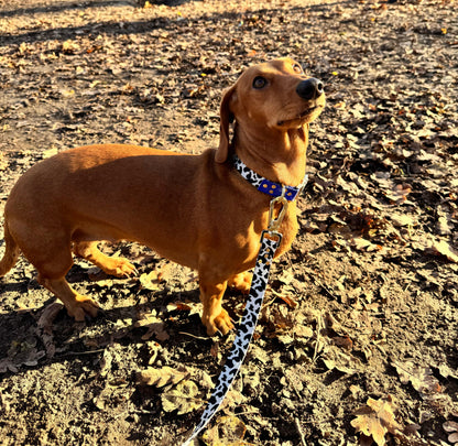 Woofy Halsband Blueberry