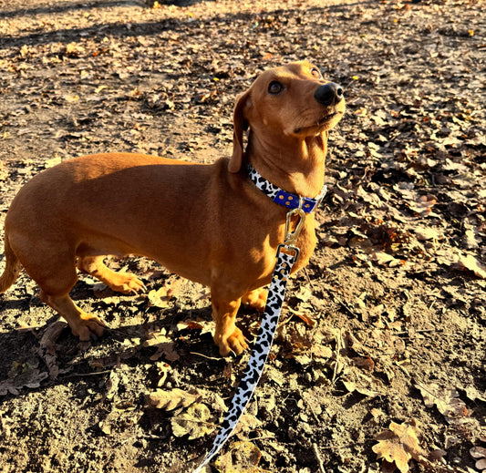 Woofy Halsband Blueberry