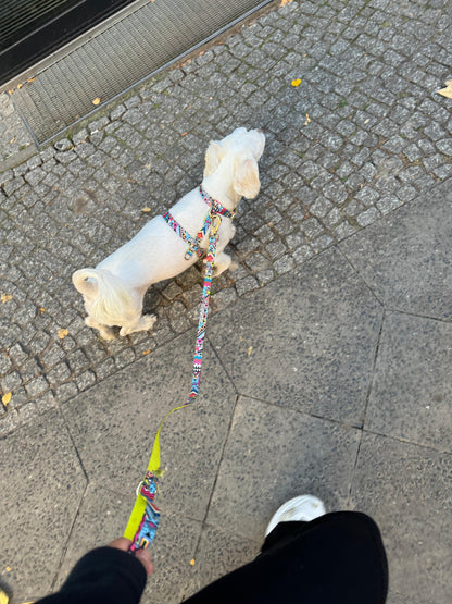 Woofy Hundegeschirr Ethnic-Vibrance