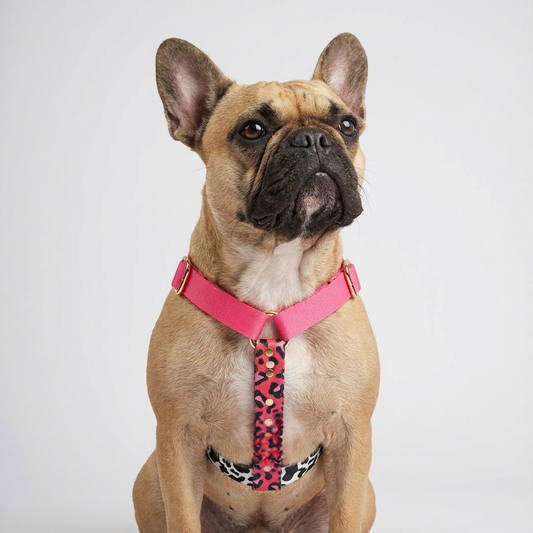 Woofy Hundegeschirr CandyMix