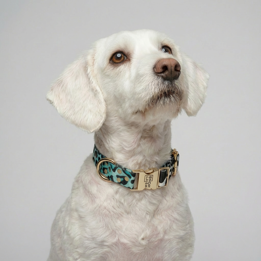 Woofy Halsband Aqua Camo