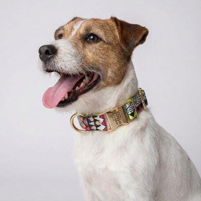 Woofy Halsband Ethnic-Vibrance