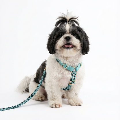 Woofy Hundegeschirr Aqua-Camo