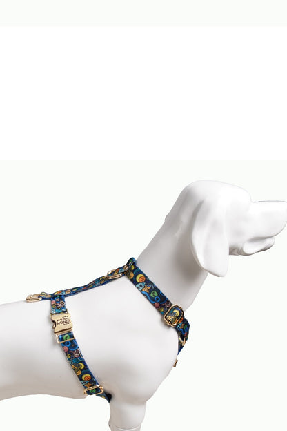 Woofy Hundegeschirr Galaxy